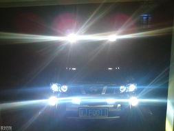 闪灯视频,闪灯视频精彩内容速览