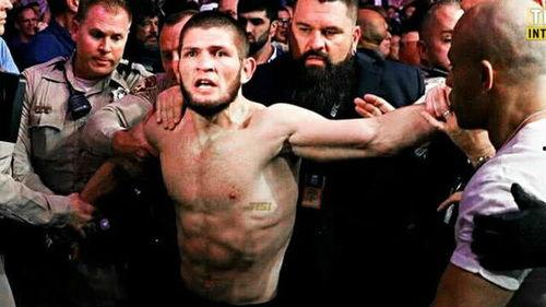 小鹰对嘴炮视频,巅峰对决背后的故事与期待