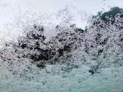 下雪短视频,捕捉冬日雪景的瞬间魅力