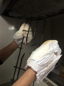 变态污视频,变态污视频背后的隐秘世界