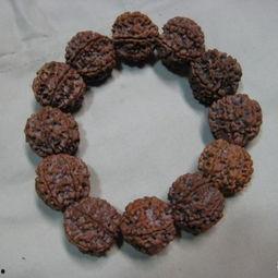 金刚菩提手串视频,传承千年文化的魅力展现