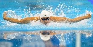 世泳赛视频,巅峰对决，泳坛精英展翅翱翔