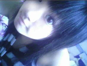 肉熊视频,揭秘野生动物的生存智慧与生活习性