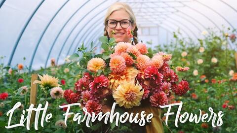 采花视频,探秘采花视频背后的故事