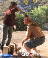 外国养蜂视频,跟随外国养蜂视频领略蜜蜂养殖奥秘