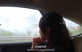 伦理性爱视频,视频中的情感与和谐